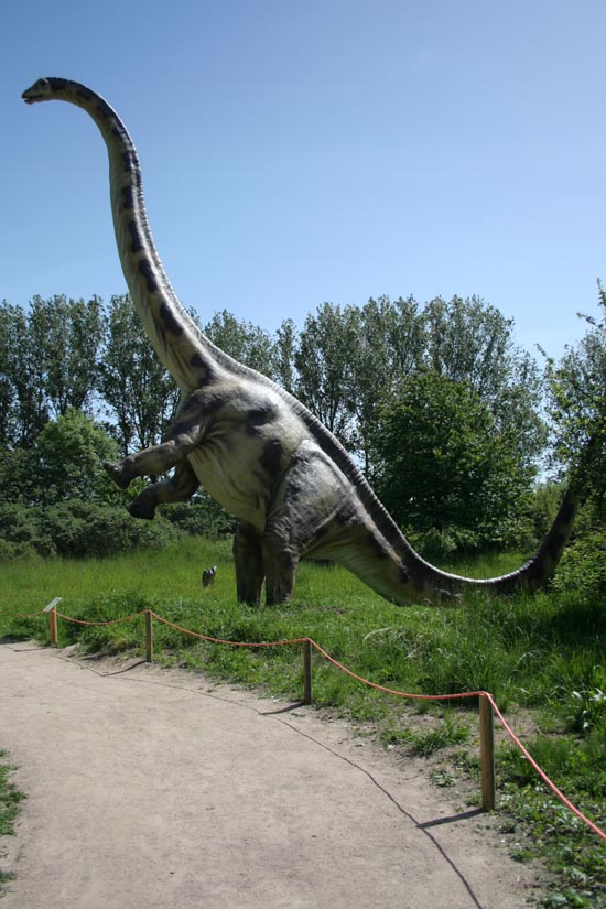 Rundweg im Dino Erlebnispark Rgen