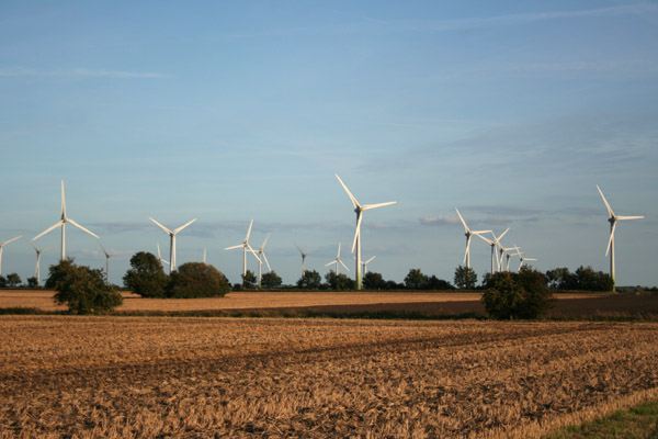 Windpark auf der Insel Fehmarn