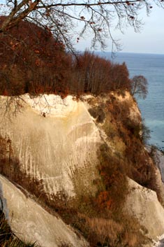 Kreidefelsen Rügen