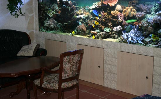 Wohnzimmer Meerwasseraquarium