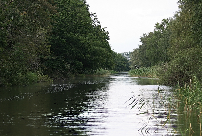 Peene Malchin am Dahmer Kanal