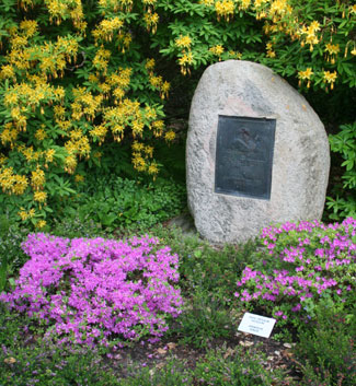 Gedenkstein im Rhododendronpark Graal-Mritz
