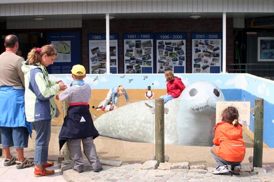 Seehundstation Friedrichskoog