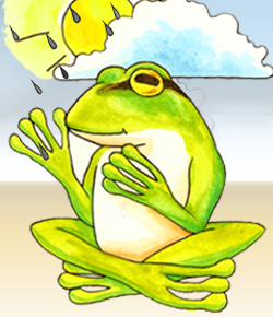 Killikus ® Wetterprognose