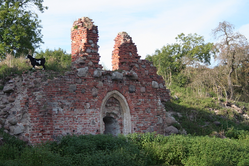 Ruine der Burg zu Basedow