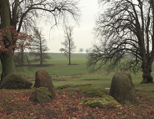 Grosteingrab in Basedow