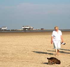 Eiderstedt Sandwatt vor St. Peter-Ording