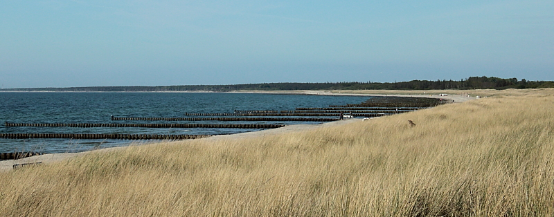 Strand und Dne Halbinsel Fischland-Darss-Zingst