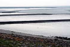 Watt bei auflaufender Flut