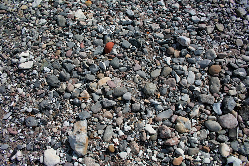 Typisches Fossilien Strandgerll an der Ostsee. Hier kann man Fossilien finden.