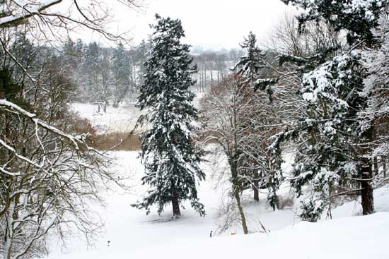Park Burg Schlitz im Winterurlaub