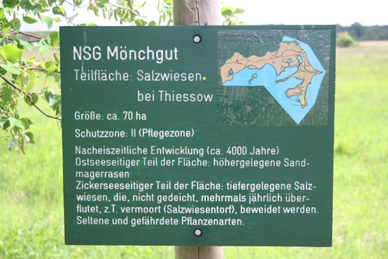 Naturschutzgebiet Mnchgut Salzwiesen