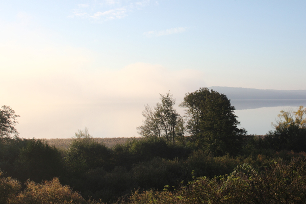 Nebel ber See im Oktober