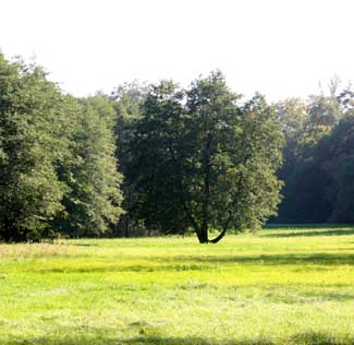 Peenetal Naturschutzgebiet Benz