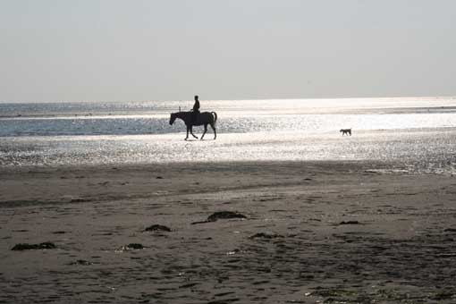 Reiter bei Ebbe an der Nordsee