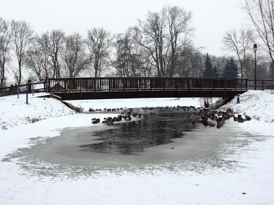 Brücke im Stadtpark Malchin im Winter