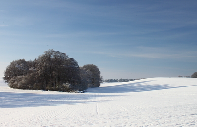 Winterimpressionen Mecklenburgische Schweiz