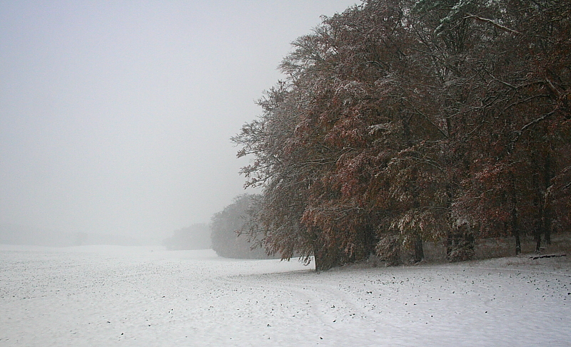 Winterlandschaft im November - Bild: 4. November 2009